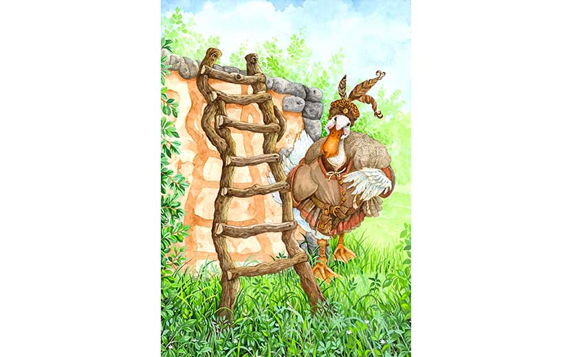 Book illustration